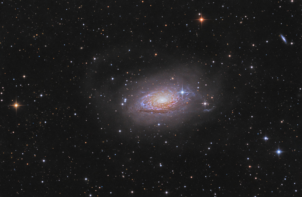 M 63