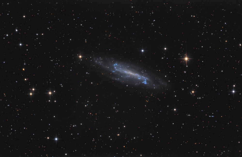 NGC 4236