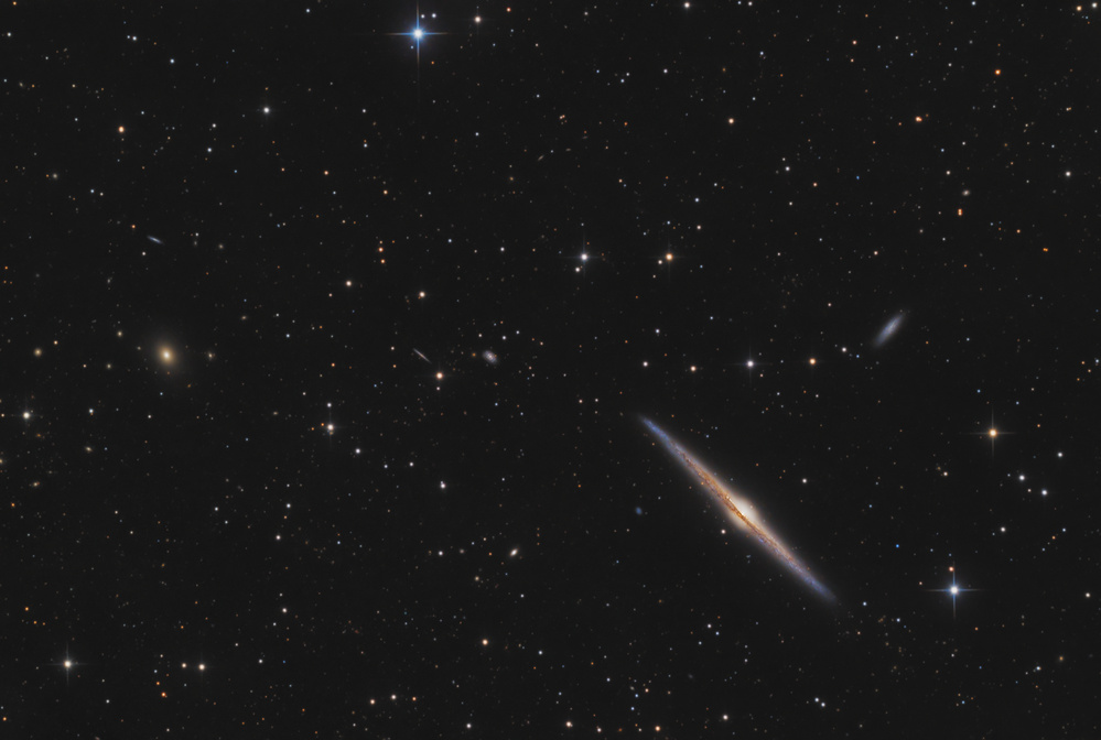 NGC 4565