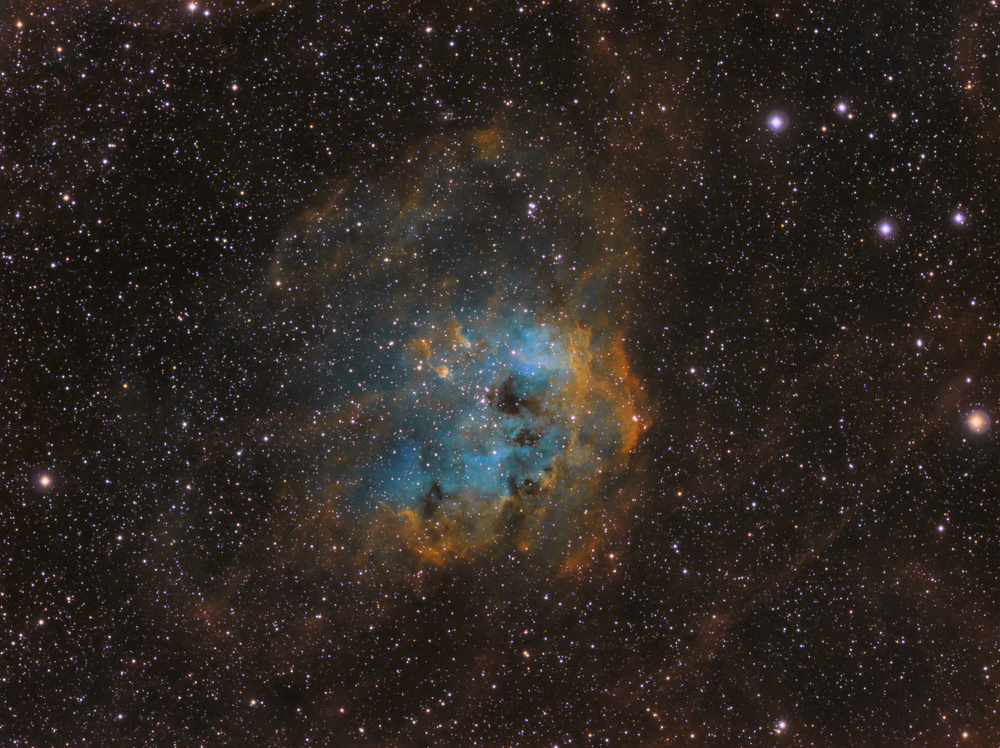 IC 410