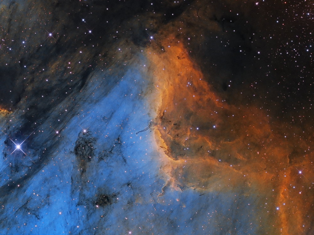 Pelican Nebula