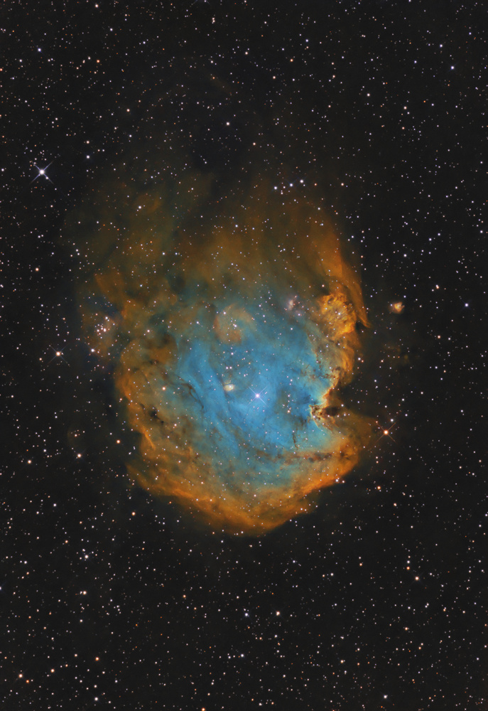 Monkey Head Nebula