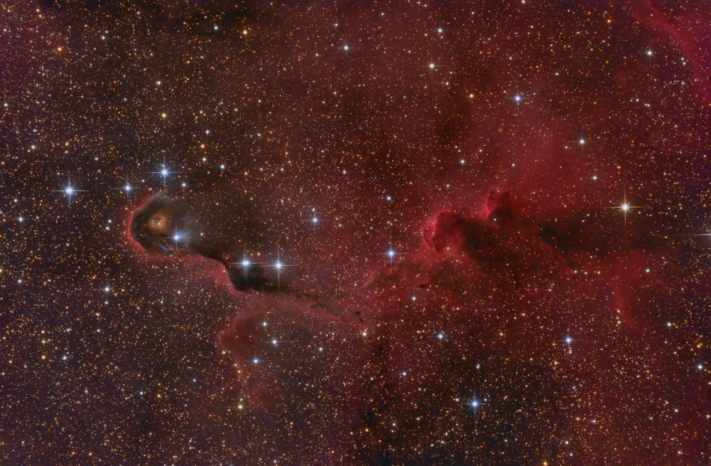 vdB 142 / IC 1396A